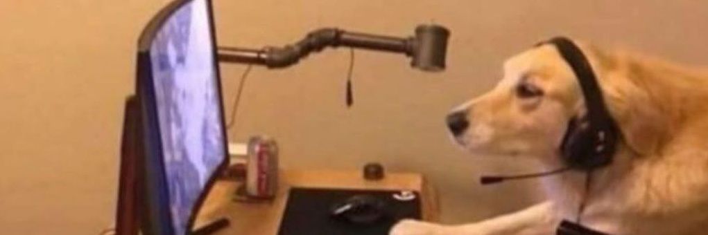 alinona_'s profile banner image