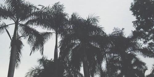xfm96's profile banner image