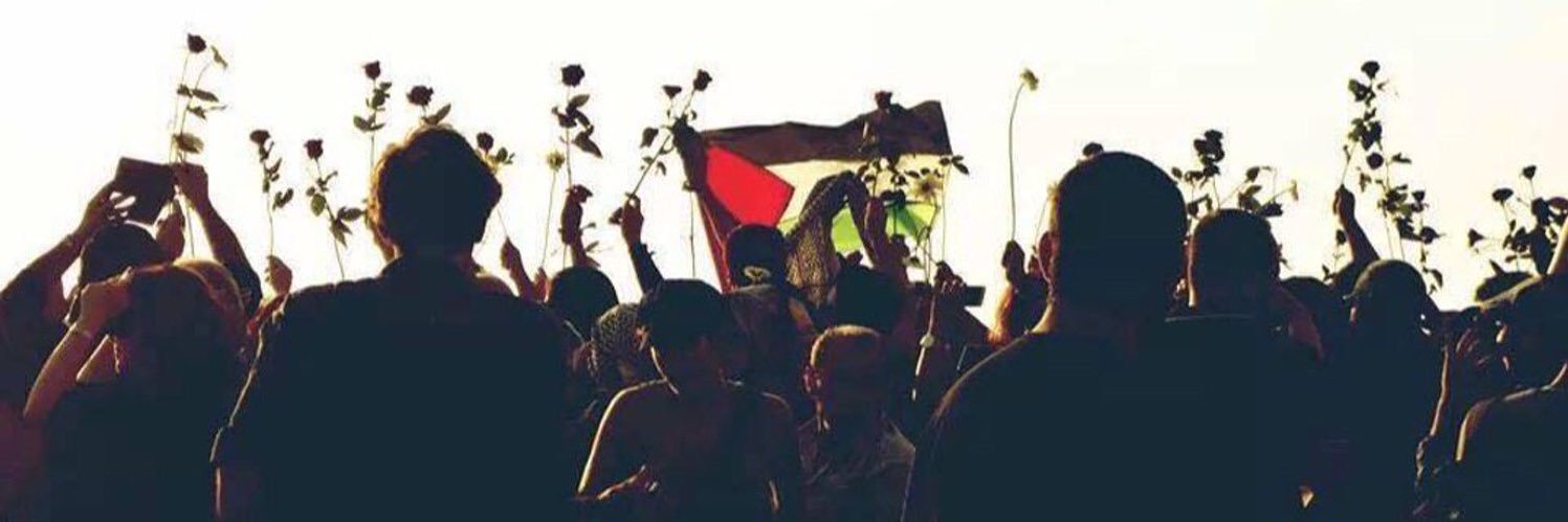 fedaa_mahmoud's profile banner image