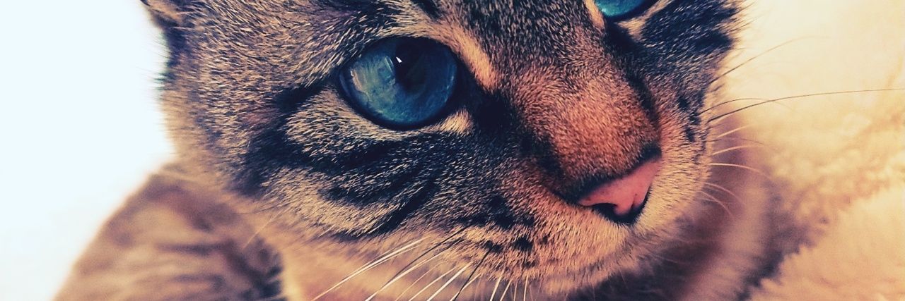 118One's profile banner image