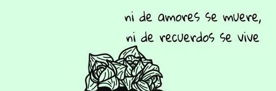S.✨ banner