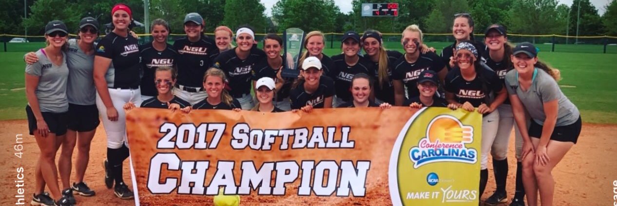 NGU Softball banner