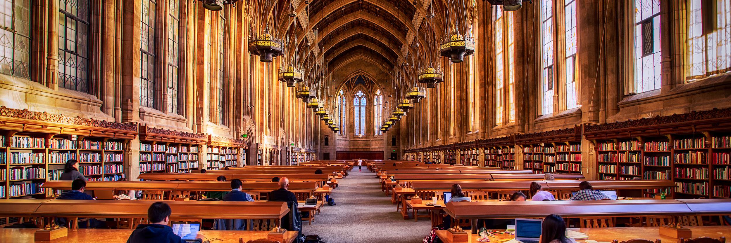 gradschooladv's profile banner image