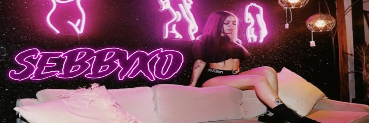 Sebby ❄️🌈〽️ banner