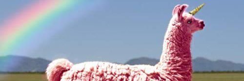 britttitsog's profile banner image