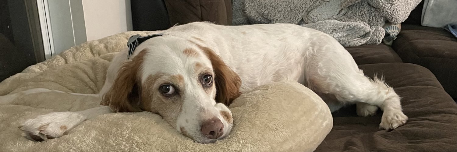 CaittWelch's profile banner image