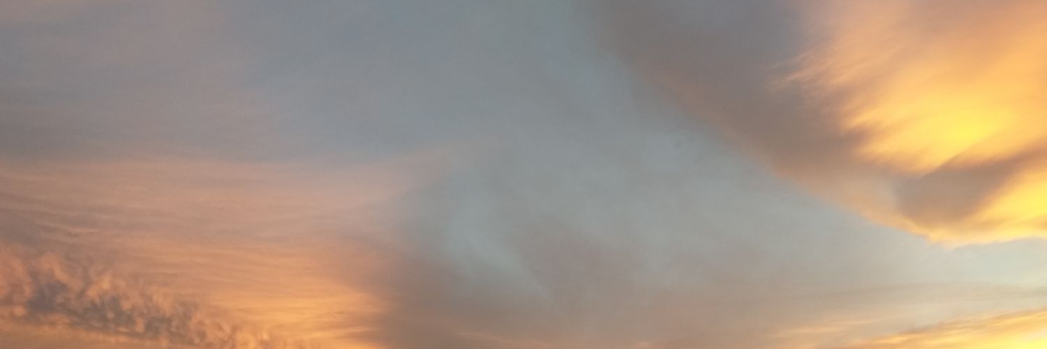 GaleNusha's profile banner image