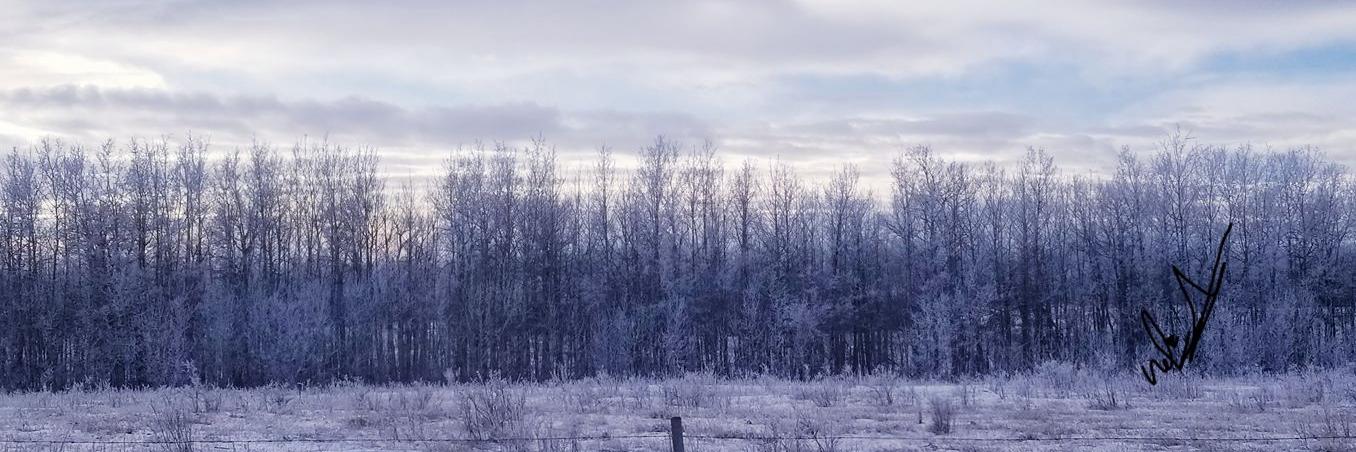 nafe_3's profile banner image