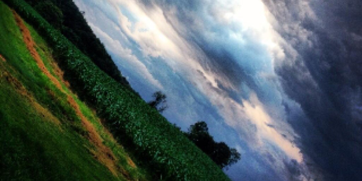emmyvowell's profile banner image