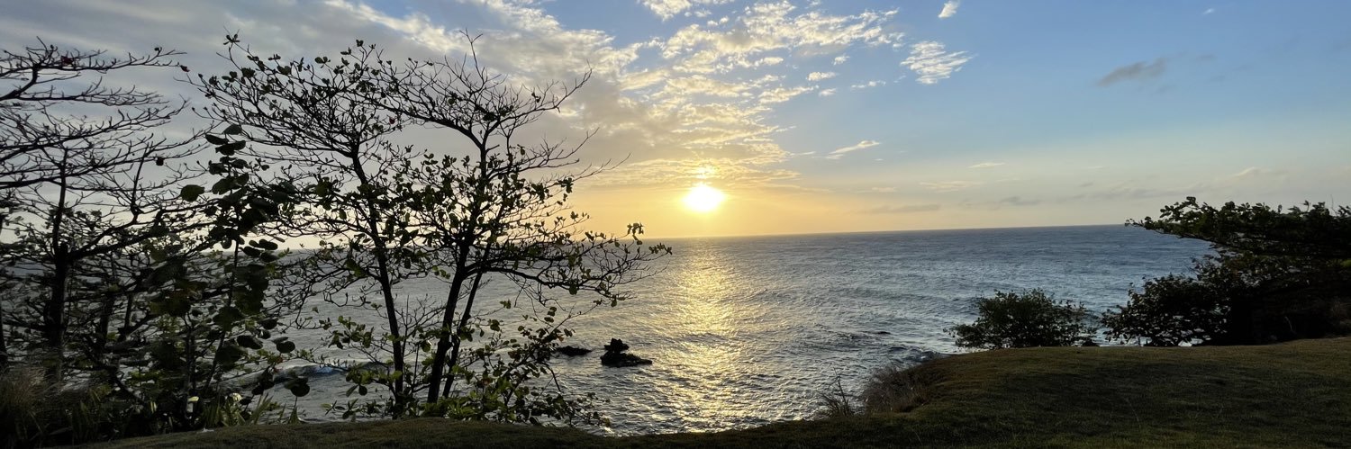 🔆J Nieves 🔆 banner