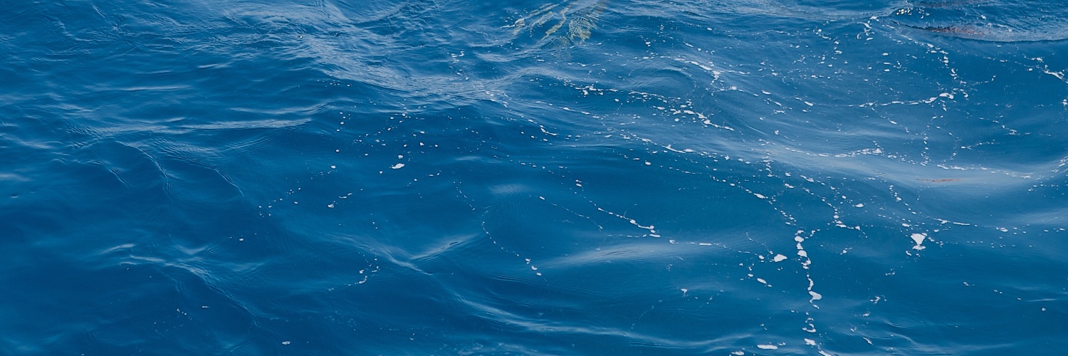 bobvelkov's profile banner image