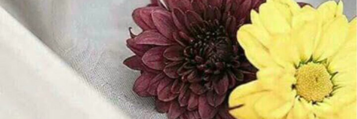 m3m31001's profile banner image