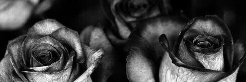 Jojorrigan's profile banner image