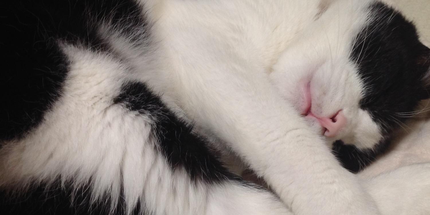 みっさ/オルヴォワール banner