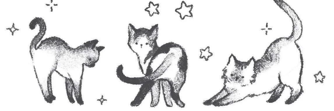 kel vanessa ✨️🫶🏼 banner