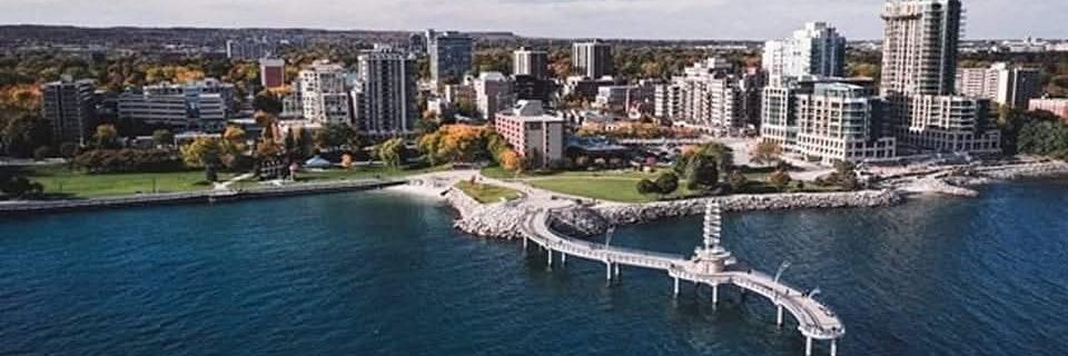 Suzanne Hatton banner