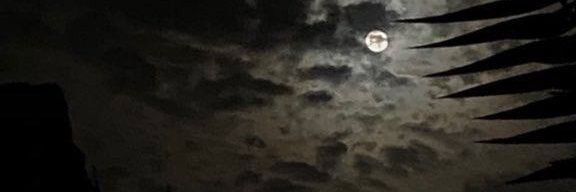 seweet_91's profile banner image