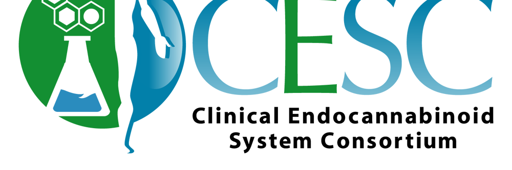TheCESCorg's profile banner image