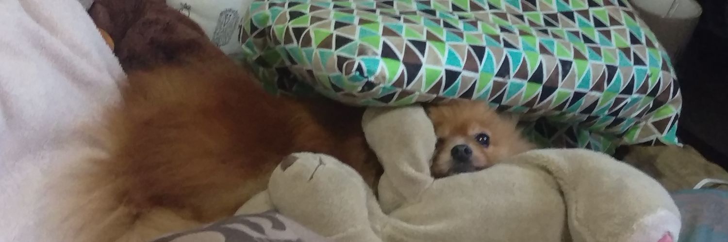 buggyprince's profile banner image
