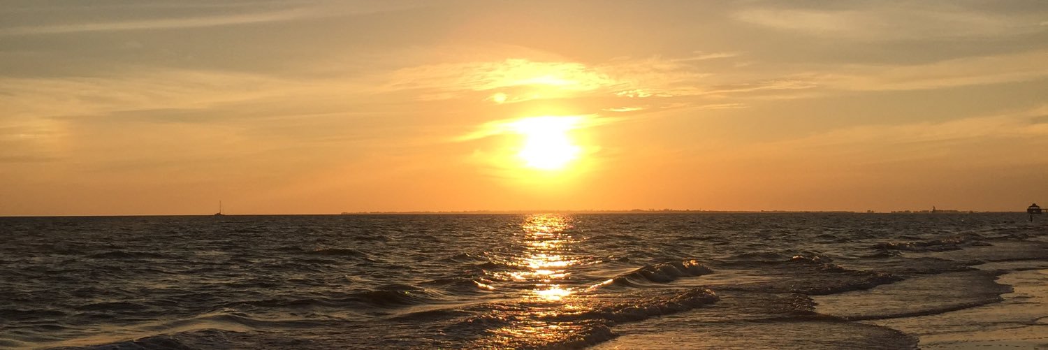 Suzanne Coopey banner