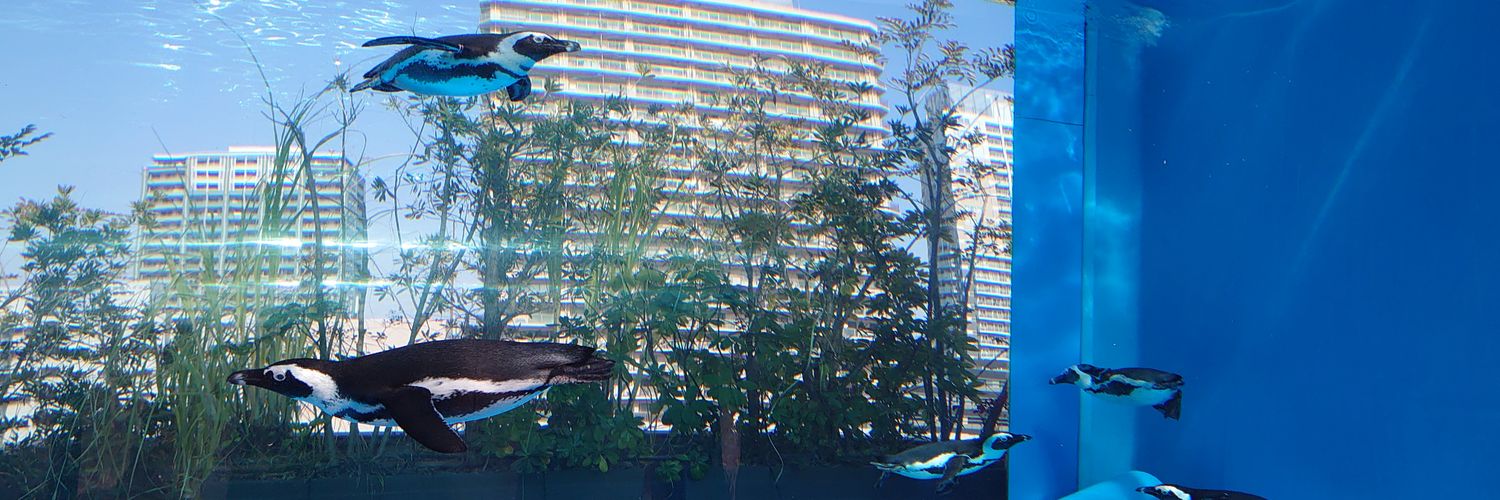 きちここはな🐰1級FP技能士 banner