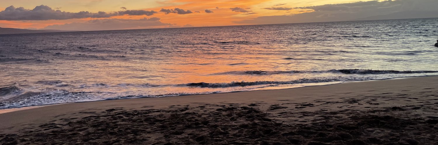 therealtrev's profile banner image