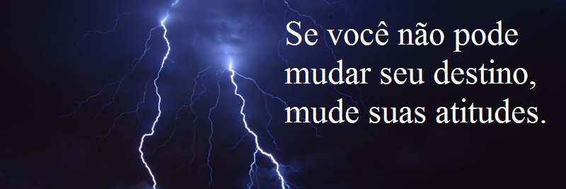 Elisa M. Duarte banner