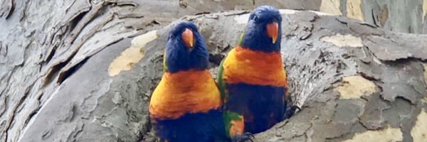tilly64 Profile Banner