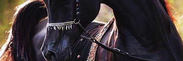 eeiissa's profile banner image