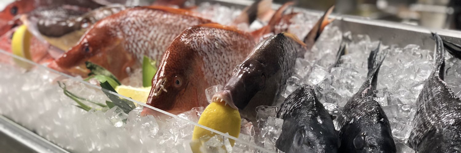 crazylobster's profile banner image