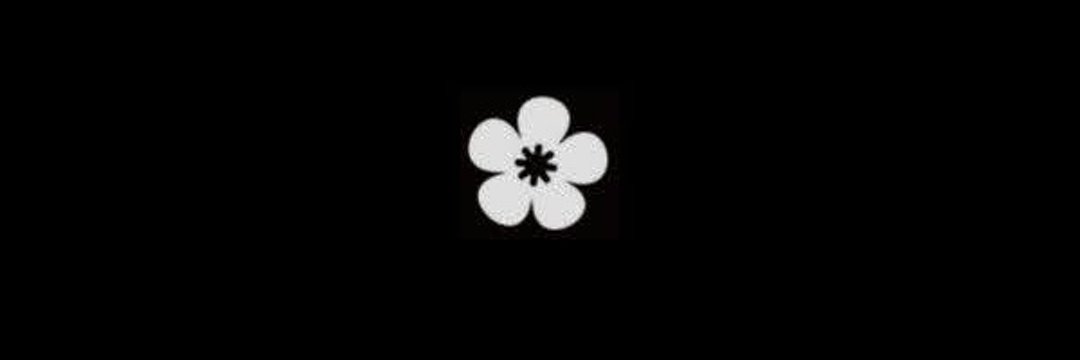 fans23's profile banner image