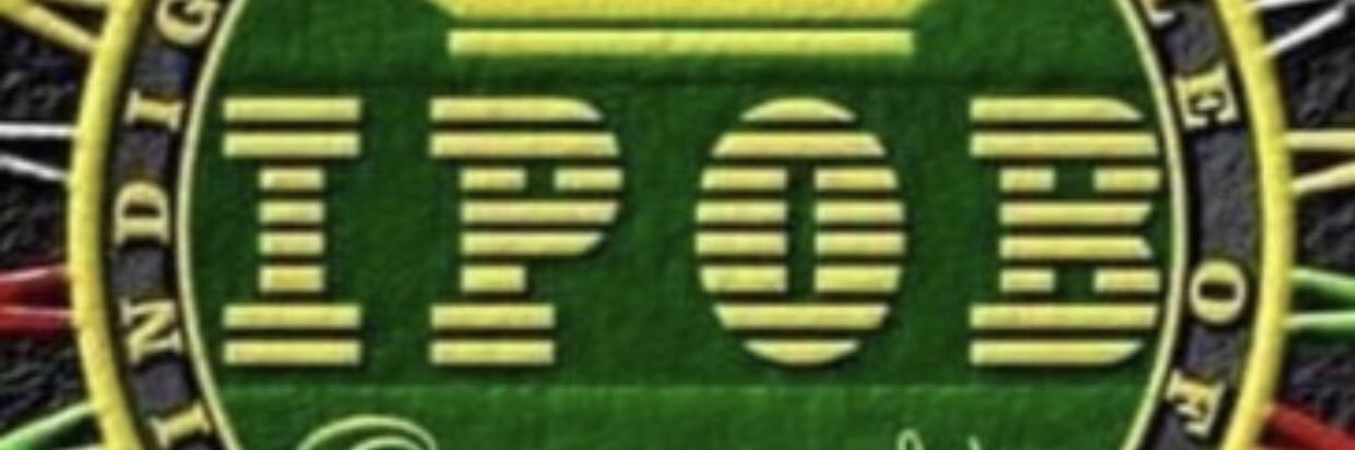 IpobTurkey's profile banner image