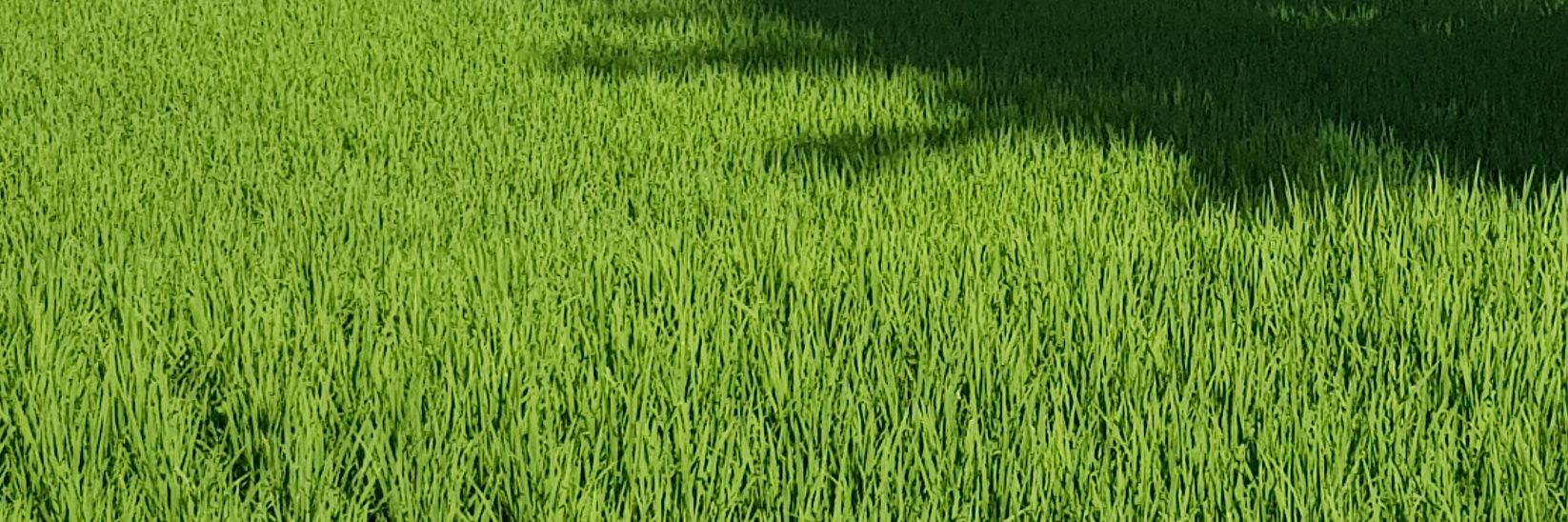 GeraldPfeifer's profile banner image