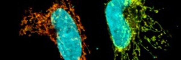 LiMitAging Profile Banner