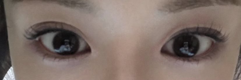 ตตยจ.•ꕥ•*🐰🧡🩺 banner