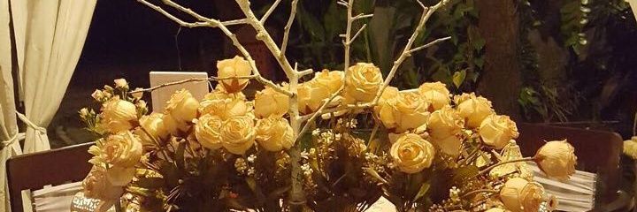 shofiisalsa's profile banner image