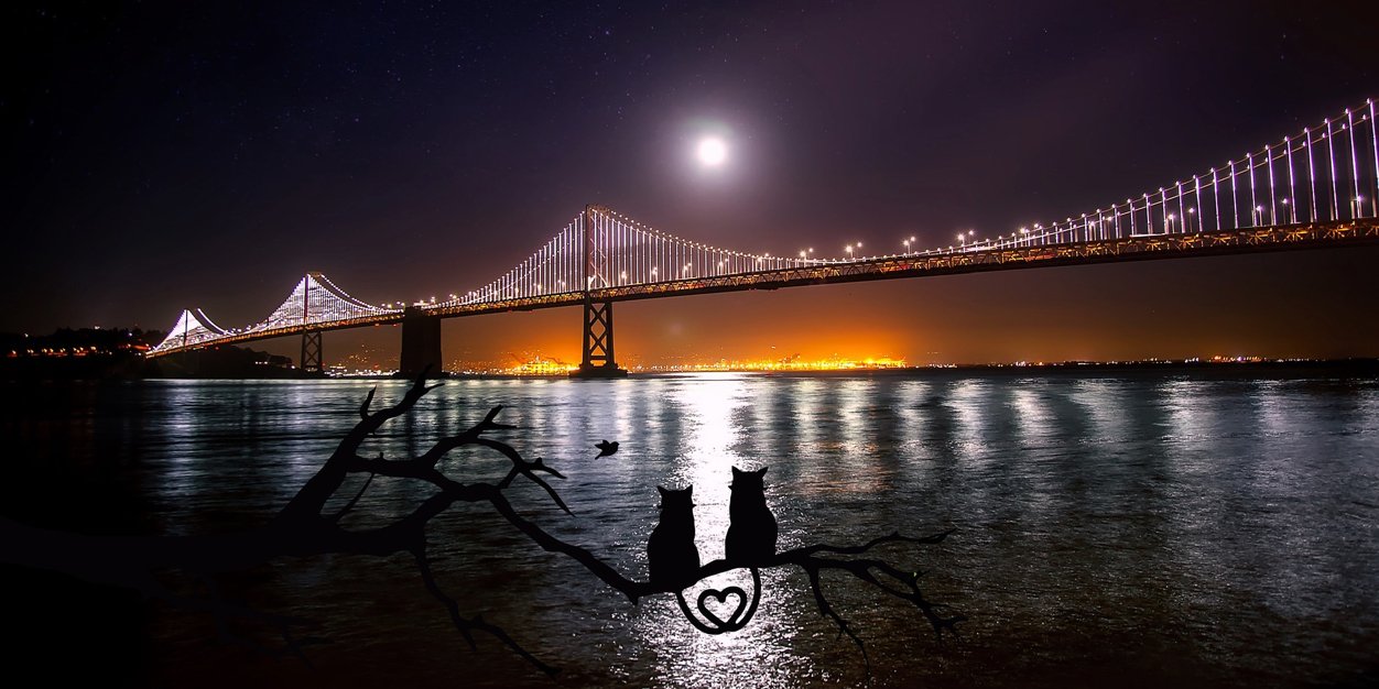 MaryAndradeee's profile banner image
