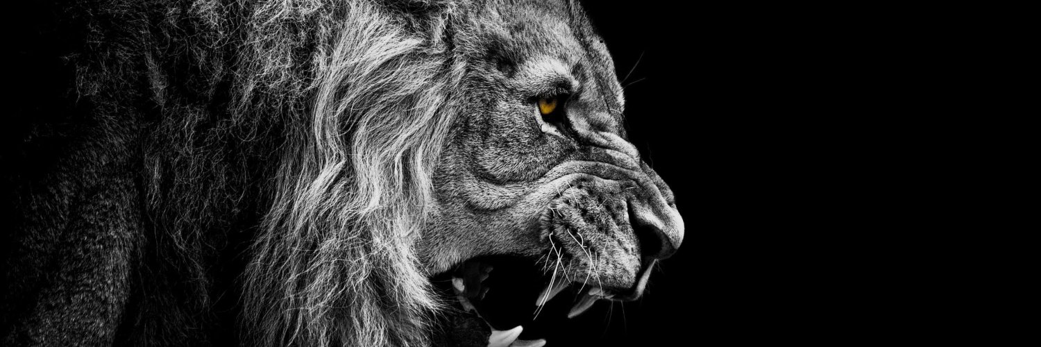 extraordinaryhb's profile banner image