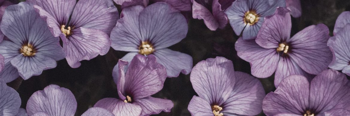 KenndraAlvarez's profile banner image