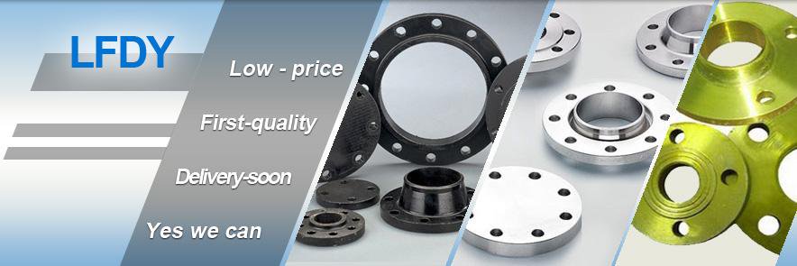 Langfang Dingyang Flange&Pipe Fitting Co.,Ltd banner