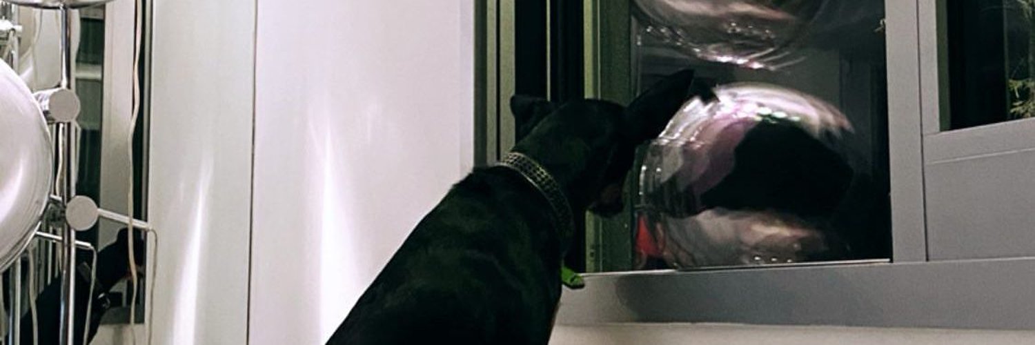 prplrn's profile banner image