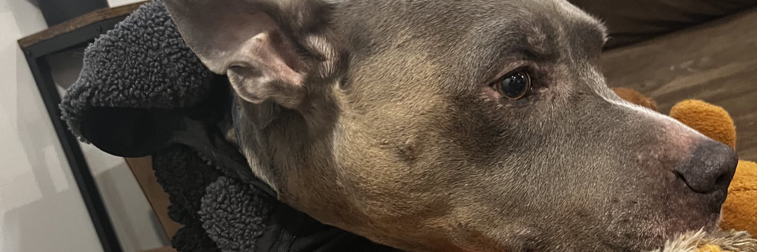 declantracy3's profile banner image