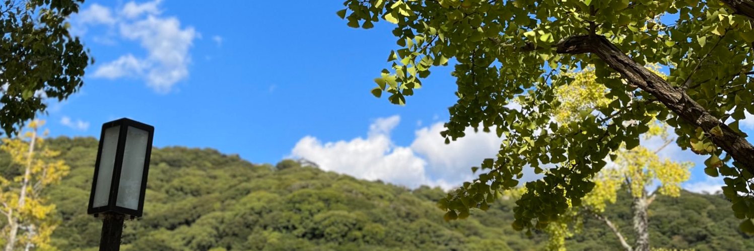 PlumTail033's profile banner image