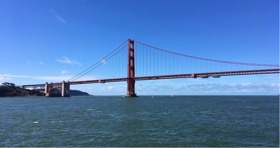 Alex Fleischer banner