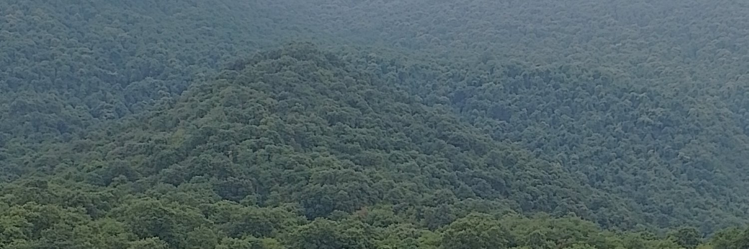 amirherkool238's profile banner image