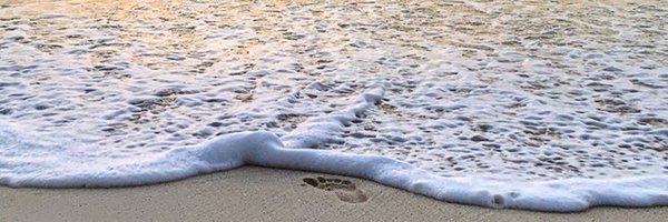 Mgon87 Profile Banner