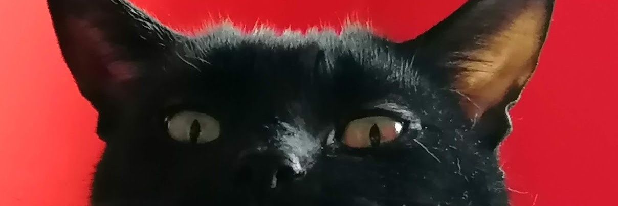 Gerblinaught's profile banner image