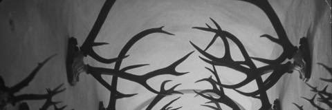 tanbonomi's profile banner image