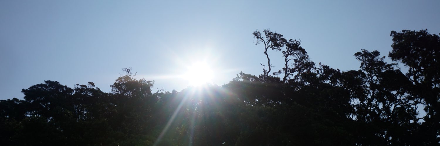 haley_bearden's profile banner image