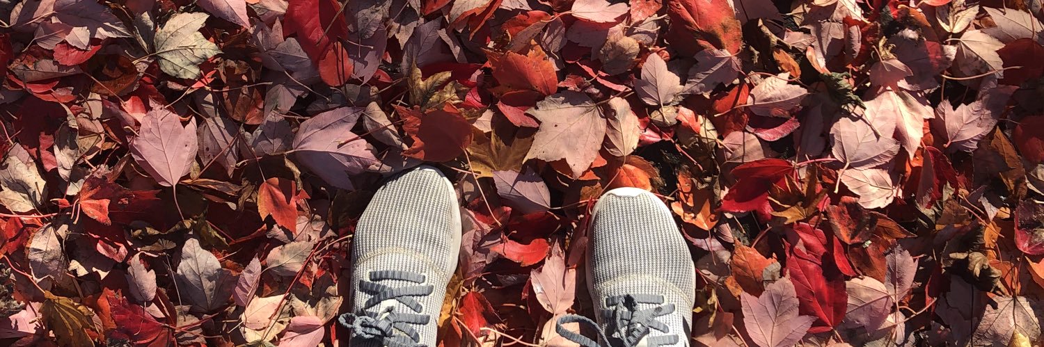 Allie Taylor (she/her) banner